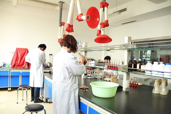 H2O2+漂白處理劑替代廢紙脫墨生產(chǎn)中二段FAS的研究