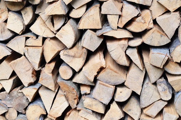 只能用木材造紙嗎？哪些可以用來造紙？