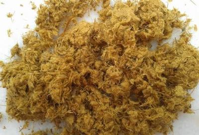 竹漿雜細胞含量對打漿過程纖維形態(tài)的影響