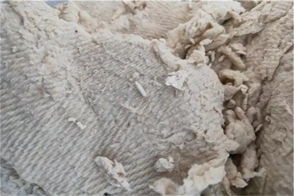 什么是紙漿？未來發(fā)展前景如何？