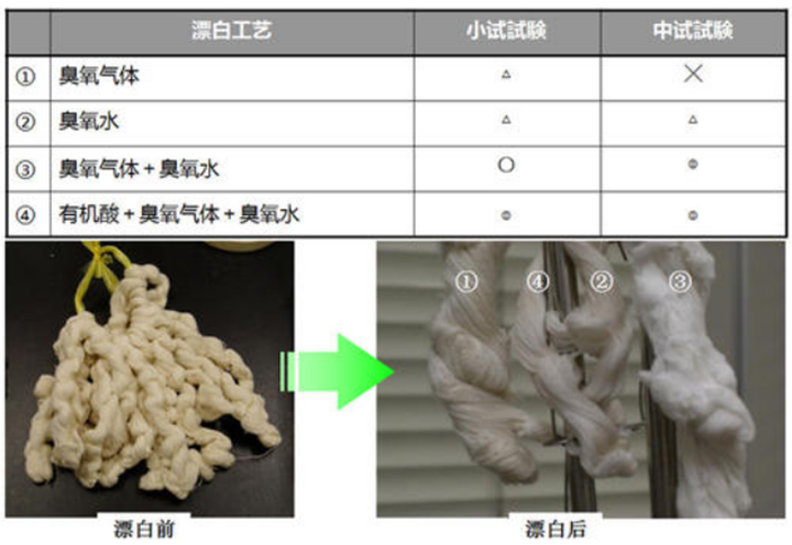 科技創(chuàng)新|我國紙漿臭氧漂白及短程序漂白關(guān)鍵技術(shù)